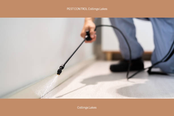 PEST CONTROL Collings Lakes